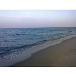 Zdjęcia użytkowników Nokia Asha 200