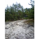 Zdjęcia użytkowników Nokia Asha 200