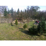 Zdjęcia użytkowników Nokia Asha 302