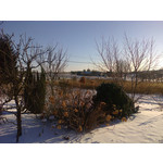 Zdjęcia użytkowników Nokia Asha 501 Dual SIM Zdjęcia użytkowników Nokia Asha 501 Dual SIM