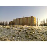 Zdjęcia użytkowników Nokia Asha 503