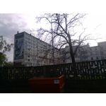 ZDJĘCIA Z TEGO TELEFONU