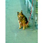 ZDJĘCIA Z TEGO TELEFONU