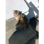 ZDJĘCIA Z TEGO TELEFONU