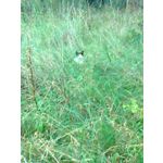 ZDJĘCIA Z TEGO TELEFONU