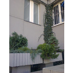 Zdjęcia użytkowników Nokia C2-02 Zdjęcia użytkowników Nokia C2-02