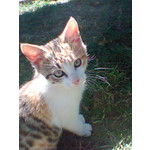 ZDJĘCIA Z TEGO TELEFONU