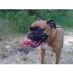 Zdjęcia użytkowników Nokia C3-01 Zdjęcia użytkowników Nokia C3-01