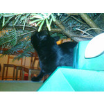 Zdjęcia użytkowników Nokia C3-01 Zdjęcia użytkowników Nokia C3-01