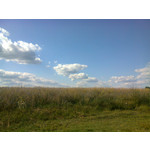 Zdjęcia użytkowników Nokia C3