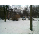 Zdjęcia użytkowników Nokia C3