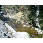 Zdjęcia użytkowników Nokia C3