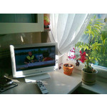 Zdjęcia użytkowników Nokia C3