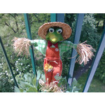 Zdjęcia użytkowników Nokia C3