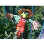 Zdjęcia użytkowników Nokia C3