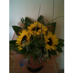 Zdjęcia użytkowników Nokia C3