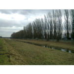 Zdjęcia użytkowników Nokia C3