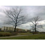 Zdjęcia użytkowników Nokia C3