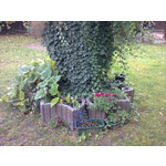 Zdjęcia użytkowników Nokia C3