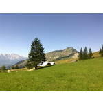 Zdjęcia użytkowników Nokia C5-00 5MP