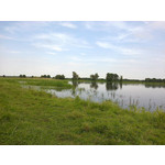 Zdjęcia użytkowników Nokia C5-03