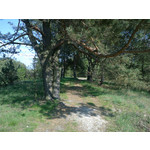 Zdjęcia użytkowników Nokia C5-03