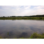 ZDJĘCIA Z TEGO TELEFONU