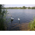 ZDJĘCIA Z TEGO TELEFONU