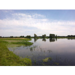 Zdjęcia użytkowników Nokia C5-03