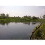 Zdjęcia użytkowników Nokia C5-03