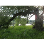 Zdjęcia użytkowników Nokia C5-03