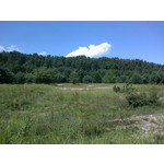 Zdjęcia użytkowników Nokia C5-03