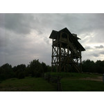 Zdjęcia użytkowników Nokia C5-03