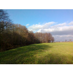 ZDJĘCIA Z TEGO TELEFONU