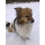 Zdjęcia użytkowników Nokia C6