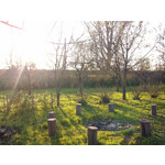 Zdjęcia użytkowników Nokia C6