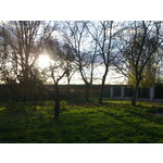 Zdjęcia użytkowników Nokia C6