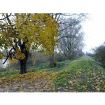 Zdjęcia użytkowników Nokia C6