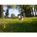 Zdjęcia użytkowników Nokia C6