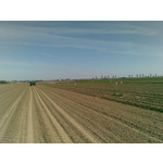 ZDJĘCIA Z TEGO TELEFONU