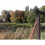 Zdjęcia użytkowników Nokia E66