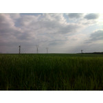 Zdjęcia użytkowników Nokia E66