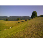 Zdjęcia użytkowników Nokia E66