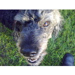 Zdjęcia użytkowników Nokia E75