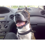 ZDJĘCIA Z TEGO TELEFONU