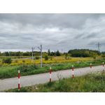 Zdjęcia użytkowników Nokia G50 5G