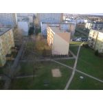 Zdjęcia użytkowników Nokia Lumia 530