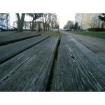 Zdjęcia użytkowników Nokia Lumia 530