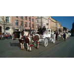 Zdjęcia użytkowników Nokia Lumia 625