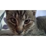 Zdjęcia użytkowników Nokia Lumia 625